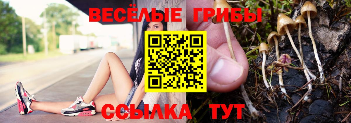 Псилоцибиновые грибы MAGIC MUSHROOMS  Вход с VPN  Муравленко 