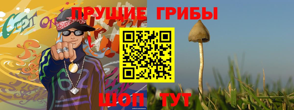 ГАШИШ Муравленко